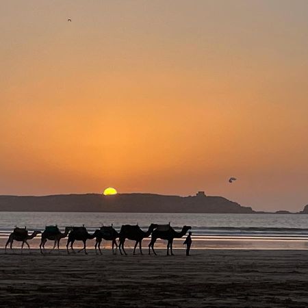 La Symbiose Essaouira Apartment Екстериор снимка