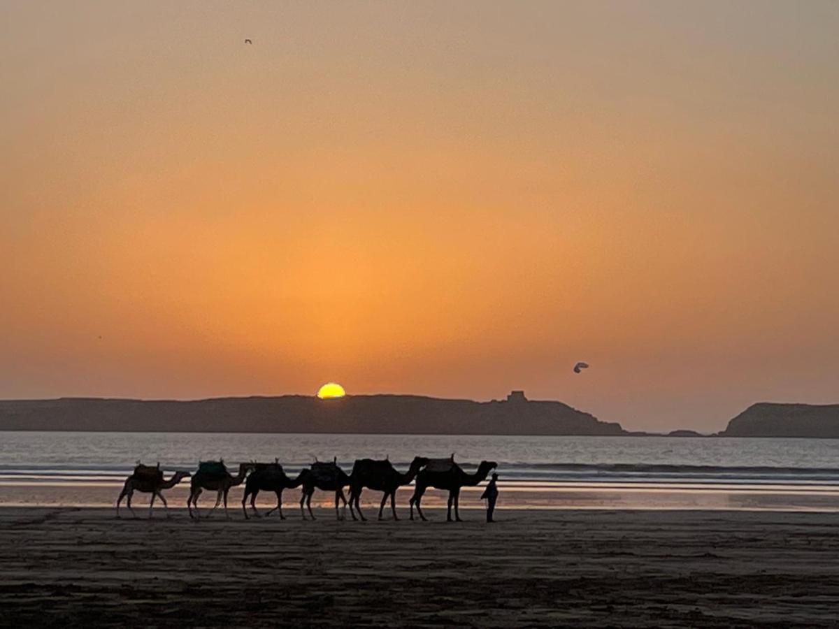 La Symbiose Essaouira Apartment Екстериор снимка